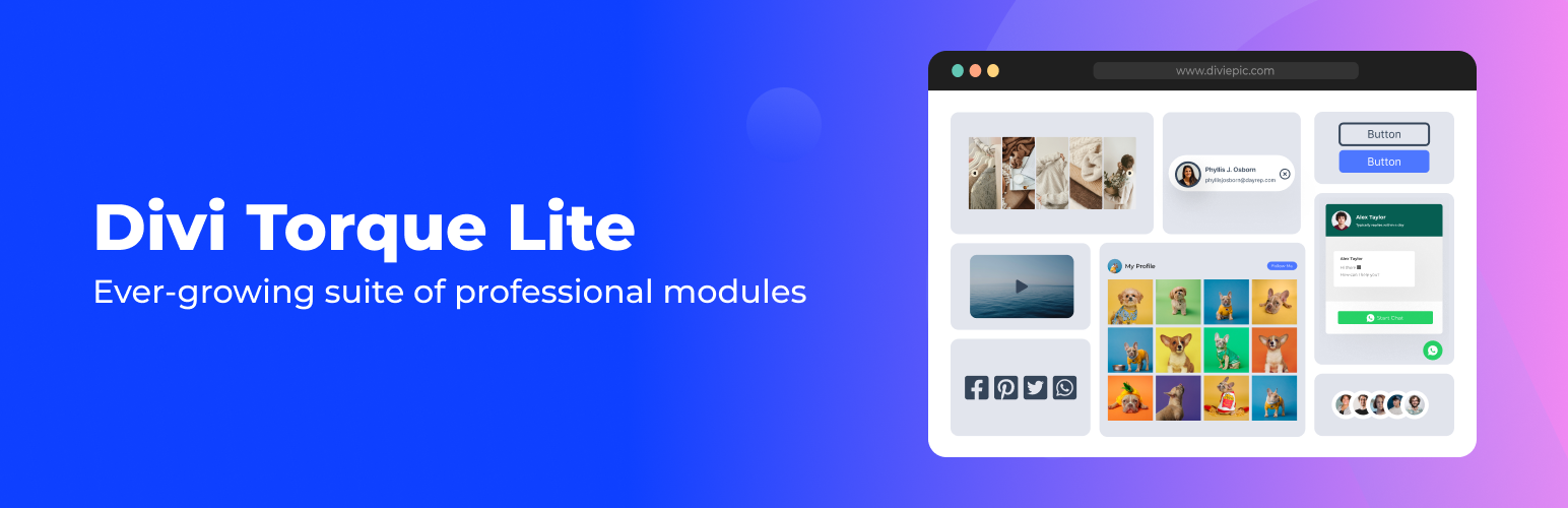 Divi Torque Lite – Divi Theme, Divi Builder & Extra Theme