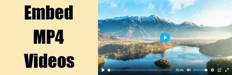 Easy Video Player