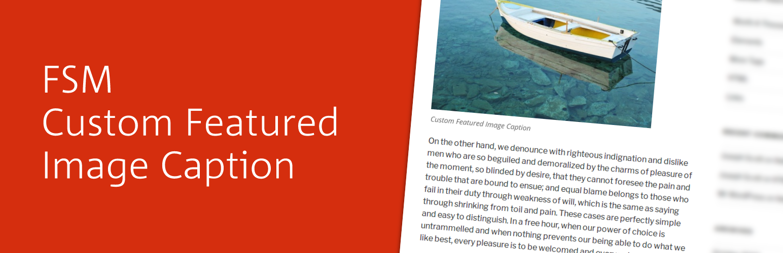 FSM Custom Featured Image Caption
