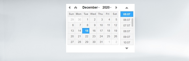 Date Time Field Add-On for Gravity Form
