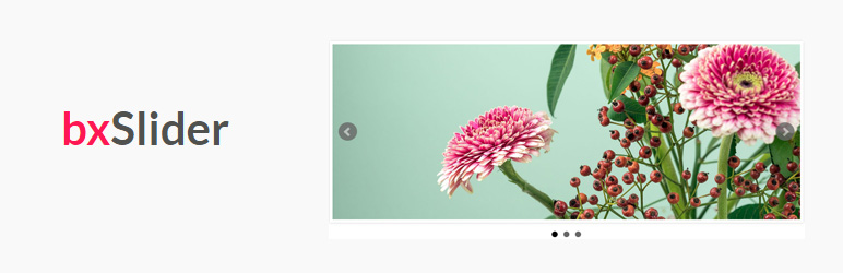bxSlider for WordPress