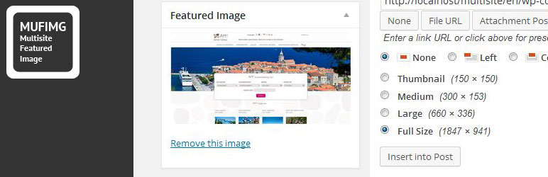Multisite Featured Image