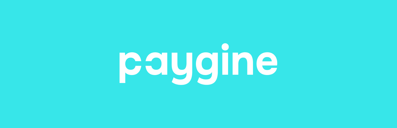 Paygine payment