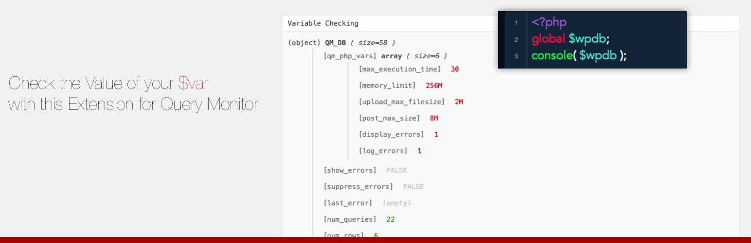 Checking Variables (Dev. Tool)