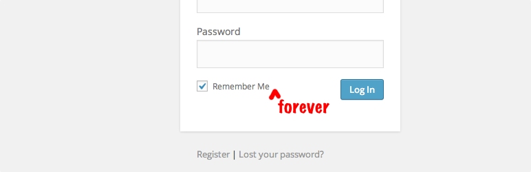 Remember Me Controls
