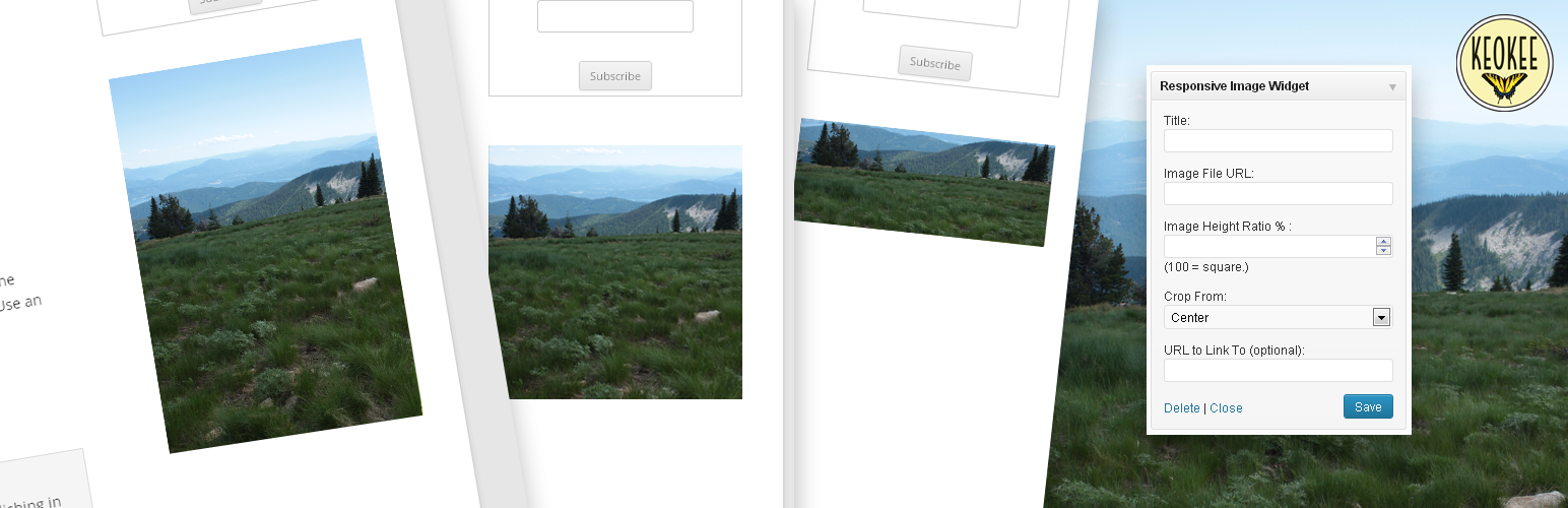 Responsive Image Widget