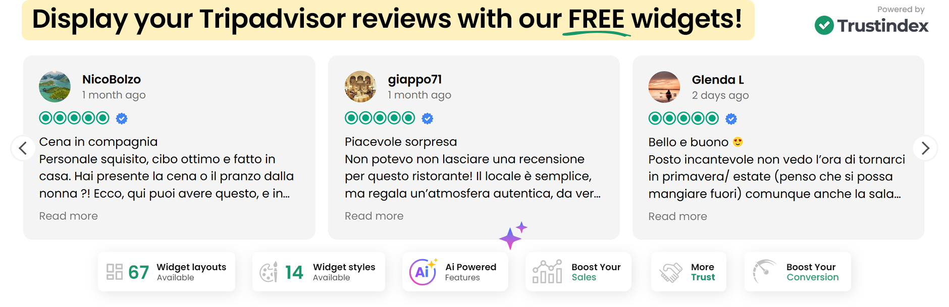 WP Tripadvisor Review Widgets