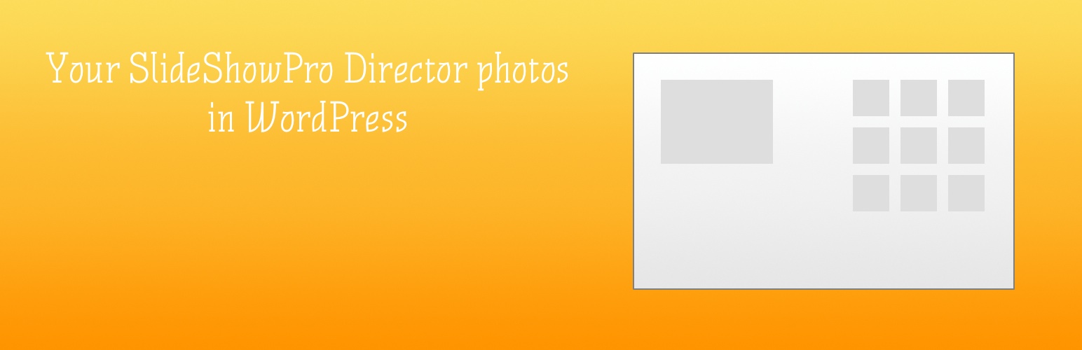 SSP Director Tools