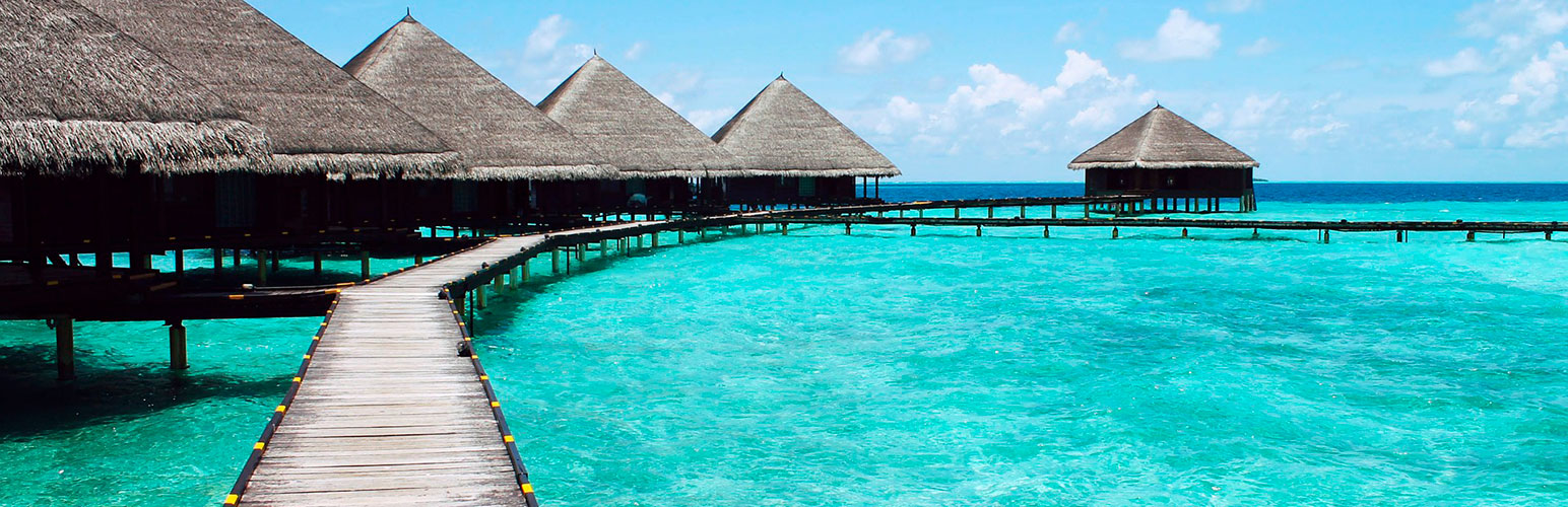The Travel Button®