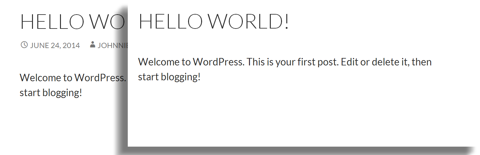 WP Author, Date and Meta Remover