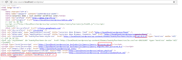 WP Version Remover